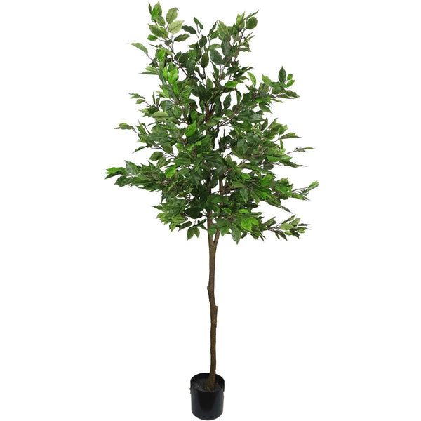 Artificial Potted Ficus Tree 160cm - John Cootes