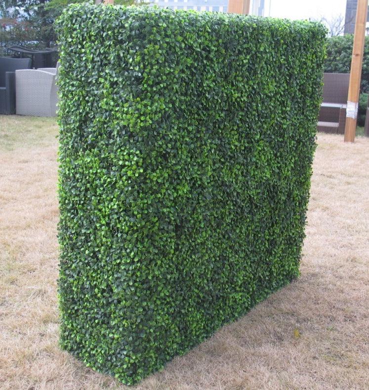 Large Portable Boxwood Hedges UV Stabilised 1.5m By 1.5m - John Cootes