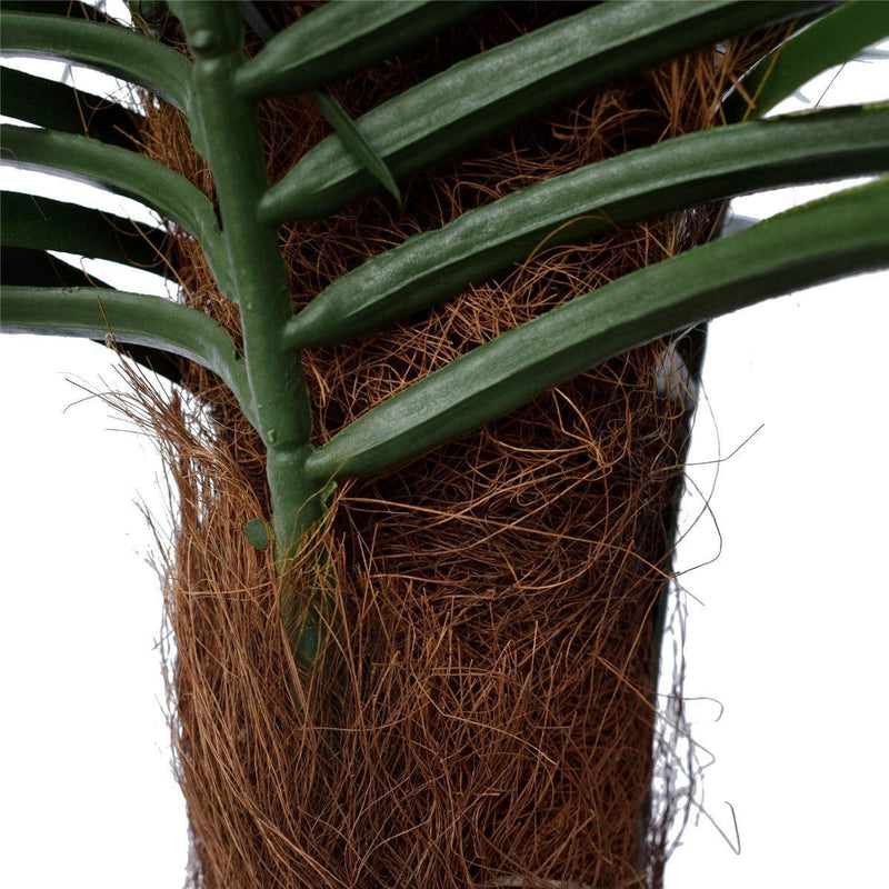 Tropical Phoenix Palm Tree 170cm UV Resistant - John Cootes