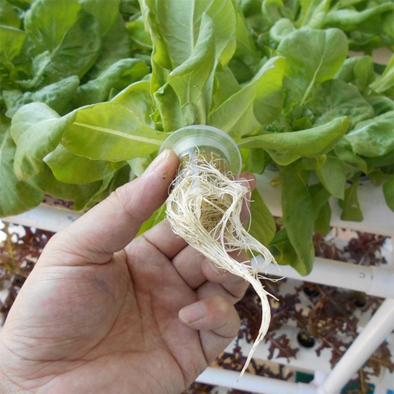 108 Plant Sites Hydroponic Grow Tool Kit Vegetable Garden Hydroponic Grow System - John Cootes