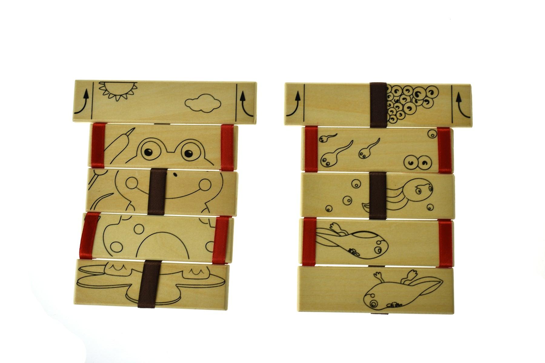 2 X COLOURING WOODEN JACOB'S LADDER WITH 12 COLOURS WASHABLE MARKERS - John Cootes