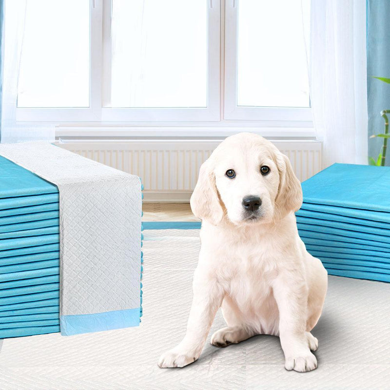 200pcs Puppy Dog Pet Training Pads Cat Toilet 60 x 60cm Super Absorbent Indoor Disposable - John Cootes