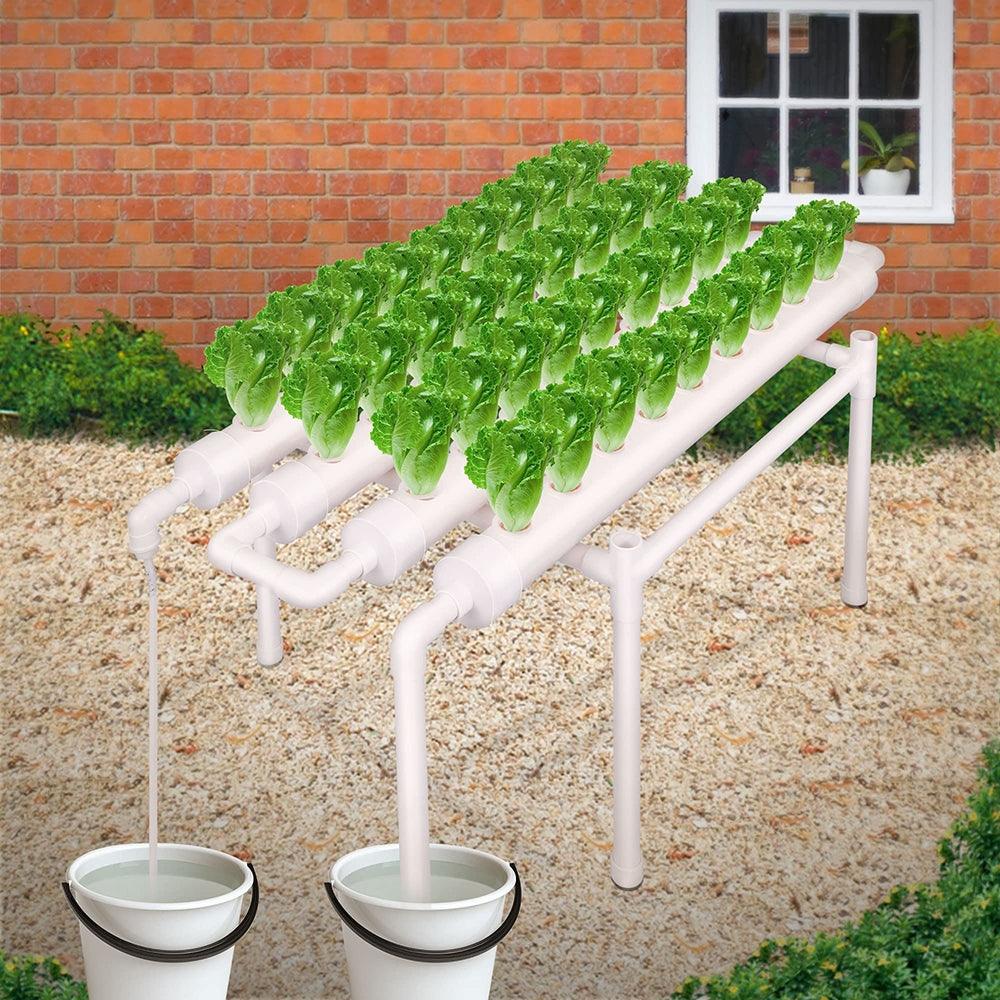 36 Sites Hydroponic Grow Tool Kits Vegetable Garden System 220V Water Pump - John Cootes