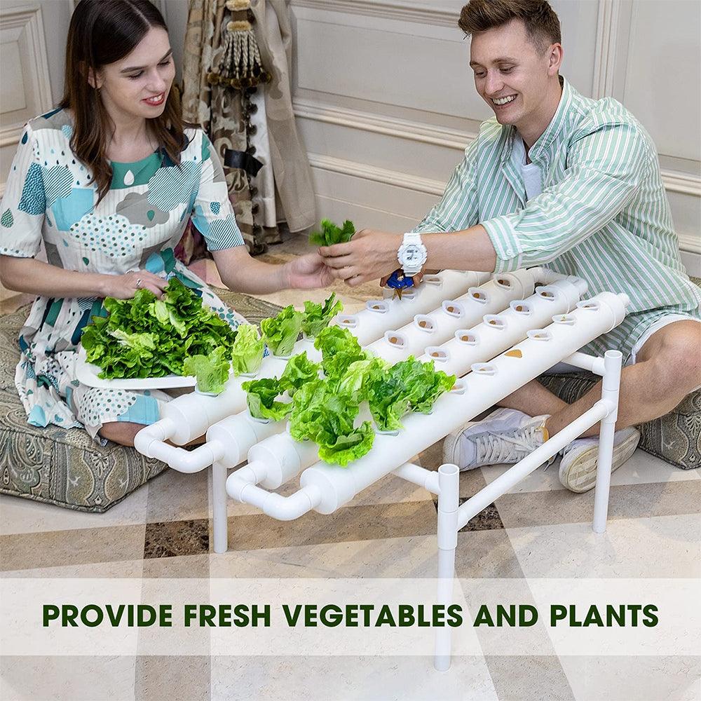 36 Sites Hydroponic Grow Tool Kits Vegetable Garden System 220V Water Pump - John Cootes