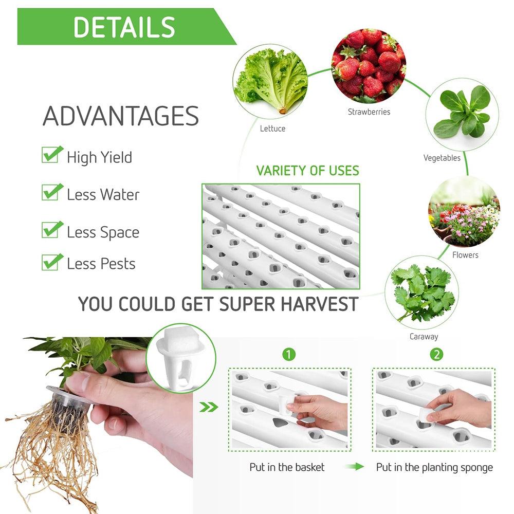 36 Sites Hydroponic Grow Tool Kits Vegetable Garden System 220V Water Pump - John Cootes