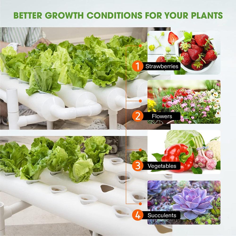 36 Sites Hydroponic Grow Tool Kits Vegetable Garden System 220V Water Pump - John Cootes