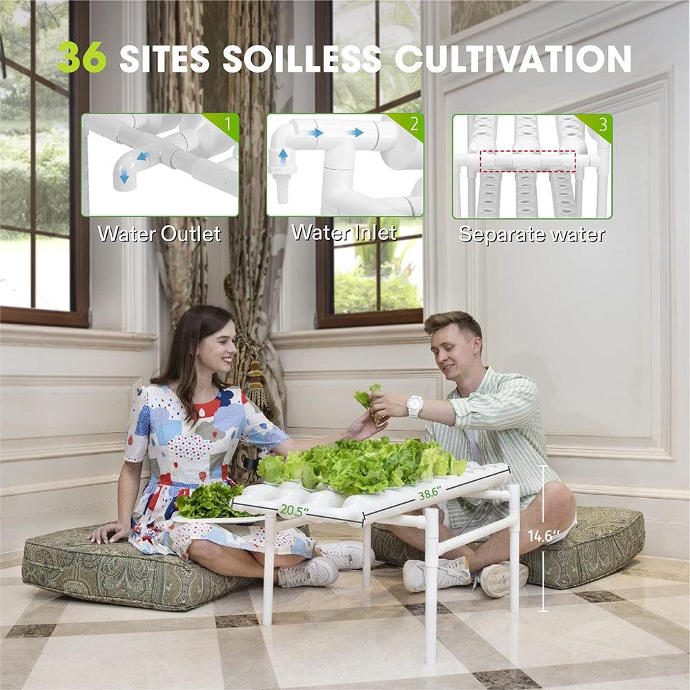 36 Sites Hydroponic Grow Tool Kits Vegetable Garden System 220V Water Pump - John Cootes