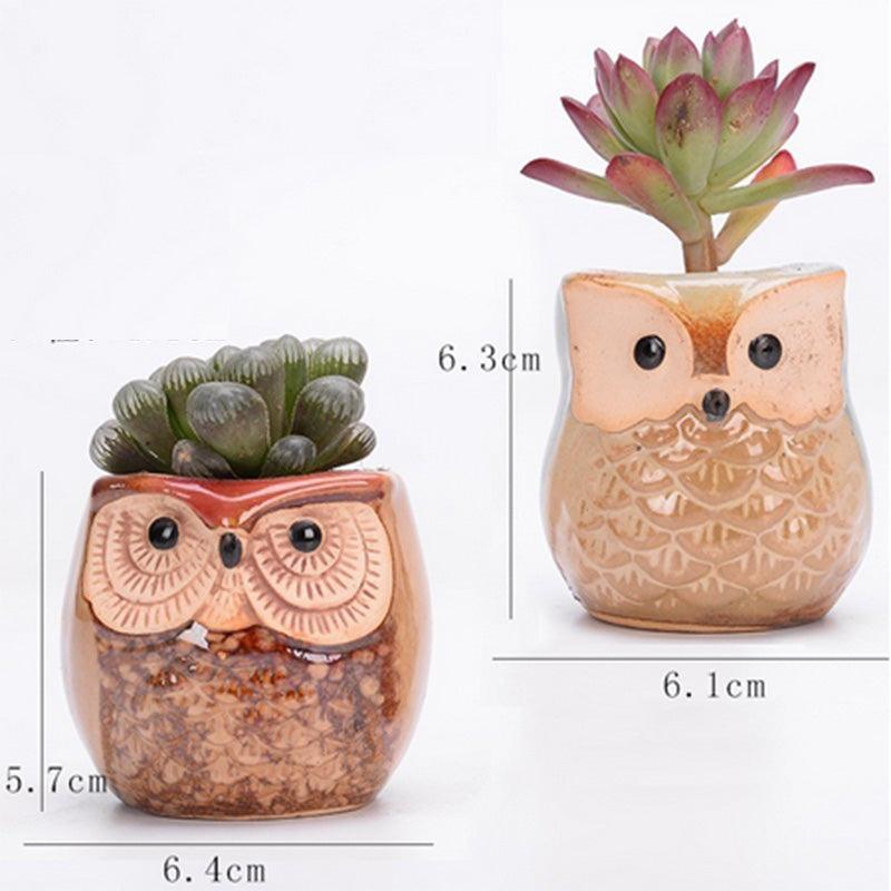 6PCS Mini Owl Plant Pots Ceramic Succulent Cactus Bonsai Flower Pots - John Cootes