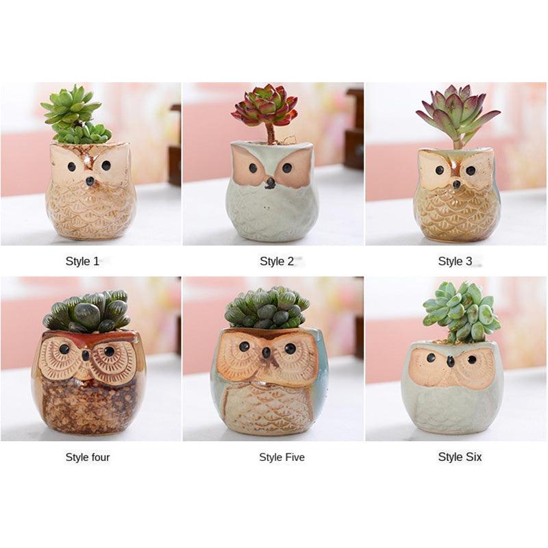 6PCS Mini Owl Plant Pots Ceramic Succulent Cactus Bonsai Flower Pots - John Cootes