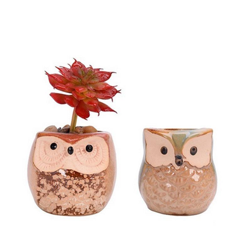 6PCS Mini Owl Plant Pots Ceramic Succulent Cactus Bonsai Flower Pots - John Cootes