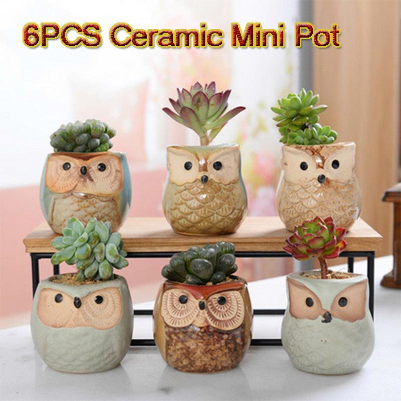 6PCS Mini Owl Plant Pots Ceramic Succulent Cactus Bonsai Flower Pots - John Cootes