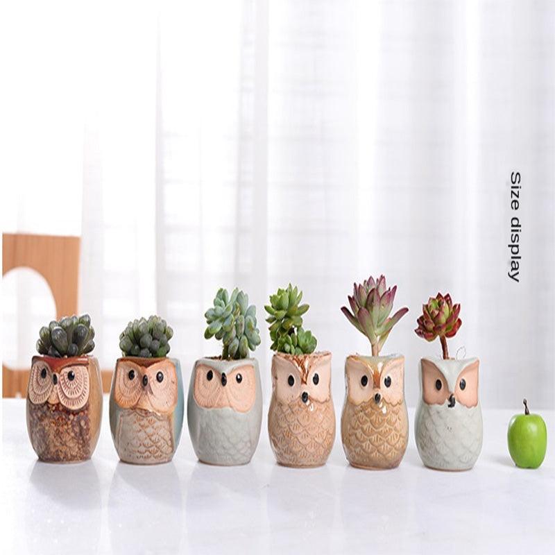 6PCS Mini Owl Plant Pots Ceramic Succulent Cactus Bonsai Flower Pots - John Cootes