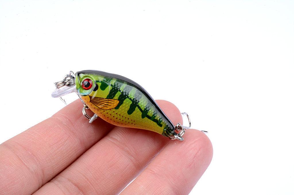 6x 4.3cm Popper Crank Bait Fishing Lure Lures Surface Tackle Saltwater - John Cootes