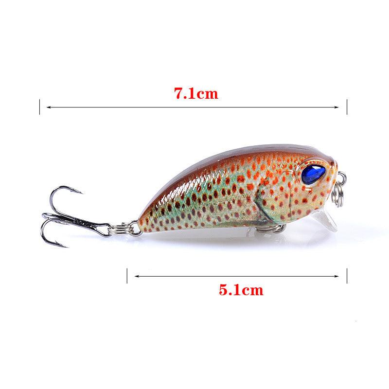 6x Popper Poppers 5.1cm Fishing Lure Lures Surface Tackle Fresh Saltwater - John Cootes