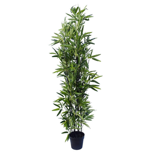 Artificial Bamboo Black Bamboo 180cm Real Touch Leaves - John Cootes