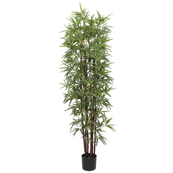 Artificial Bamboo Plant Dark Trunk (Potted) 180cm - John Cootes