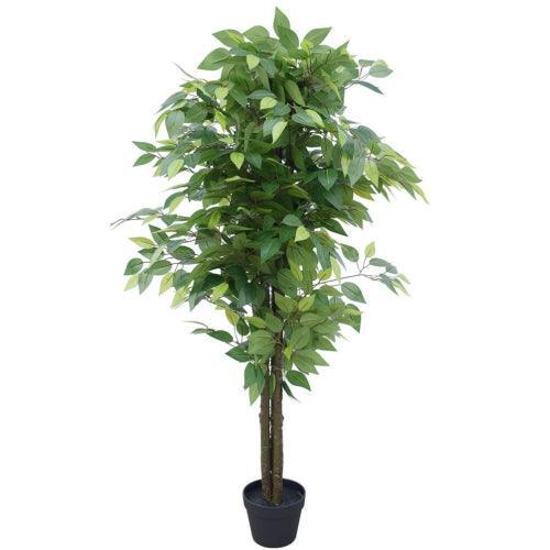 Artificial Bushy Ficus Tree 145cm - John Cootes