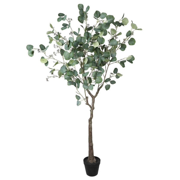 Artificial Eucalyptus Tree (Red Box Eucalyptus Polyanthemos) 150cm - John Cootes