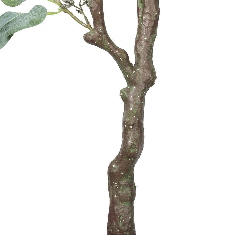 Artificial Eucalyptus Tree (Red Box Eucalyptus Polyanthemos) 150cm - John Cootes