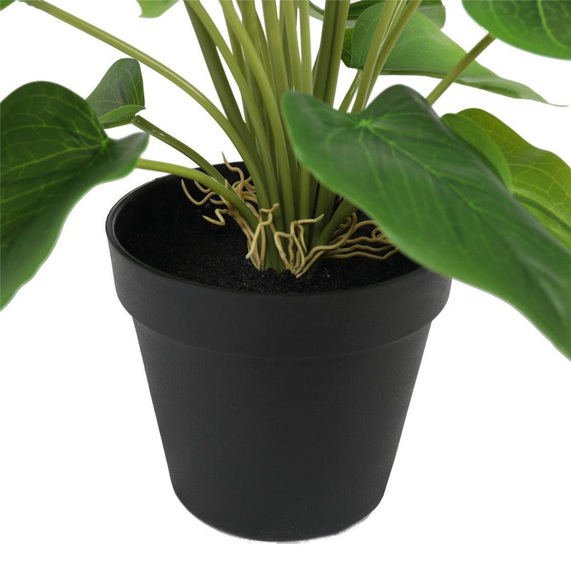 Artificial Flowering White & Orange Peace Lily / Calla Lily Plant 50cm - John Cootes