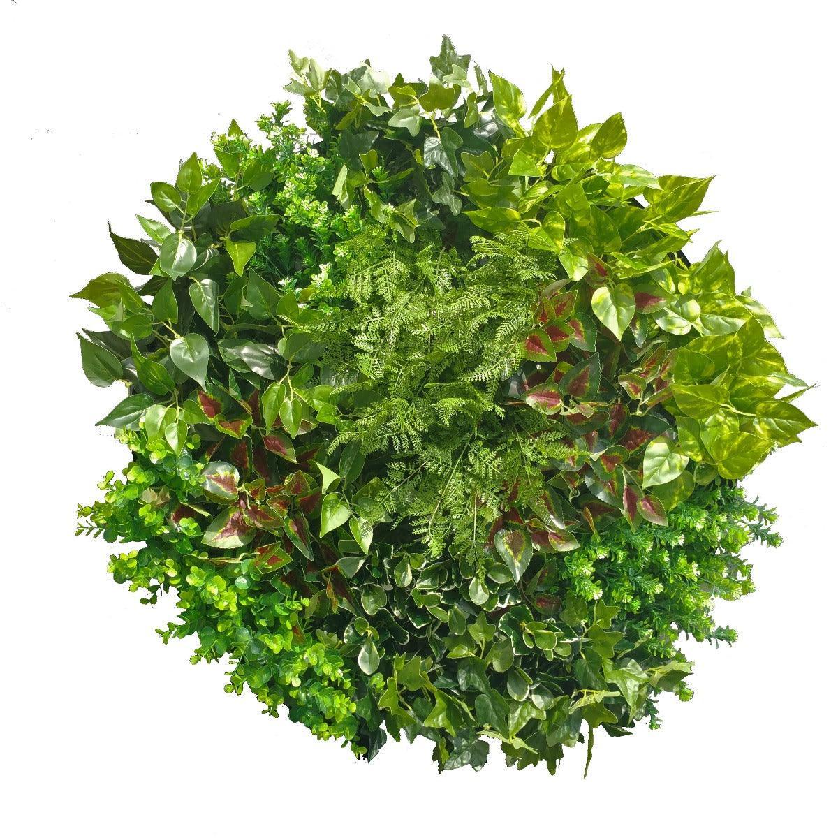 Artificial Green Wall Disc Art 80cm Mixed Fern (Onyx Black) - John Cootes