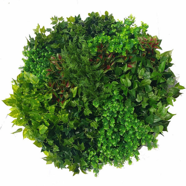 Artificial Green Wall Disk Art 100cm - Mixed Ivy And Fern - John Cootes