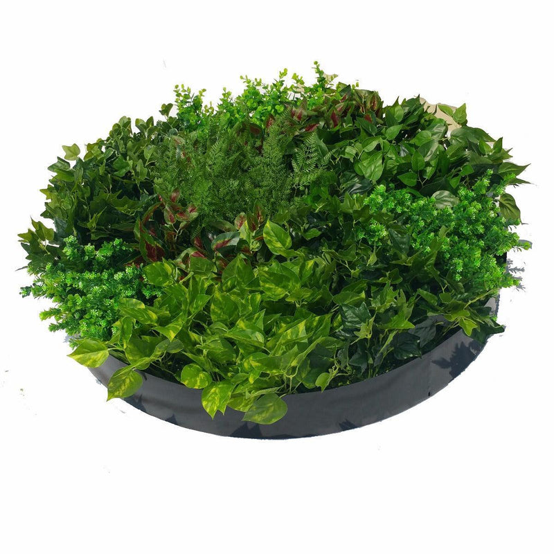 Artificial Green Wall Disk Art 100cm - Mixed Ivy And Fern - John Cootes