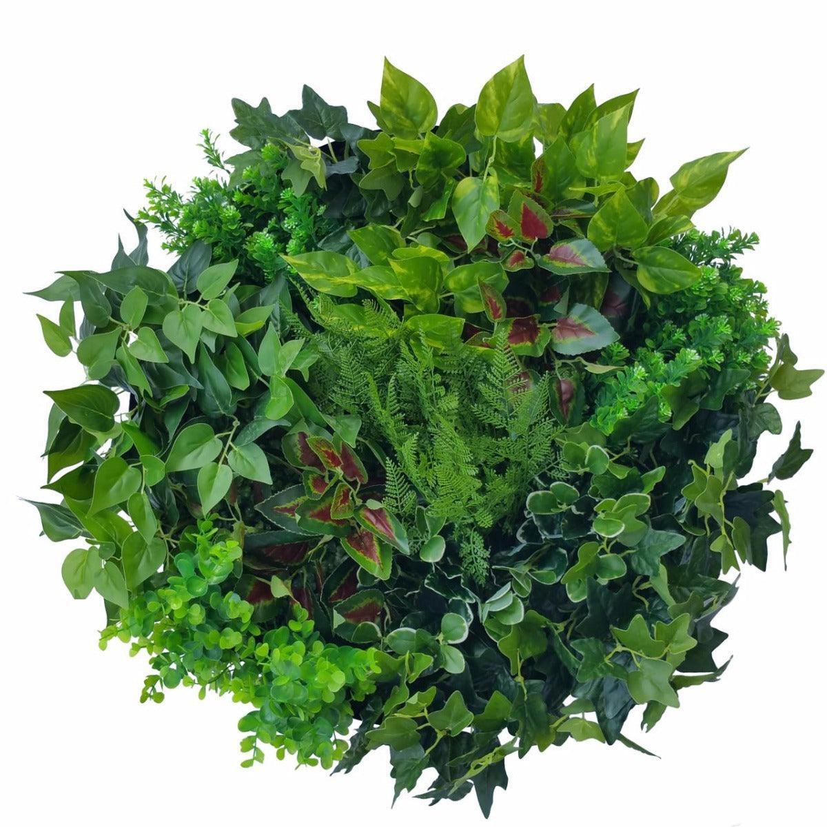 Artificial Green Wall Disk Art 60cm - Mixed Fern & Ivy - John Cootes