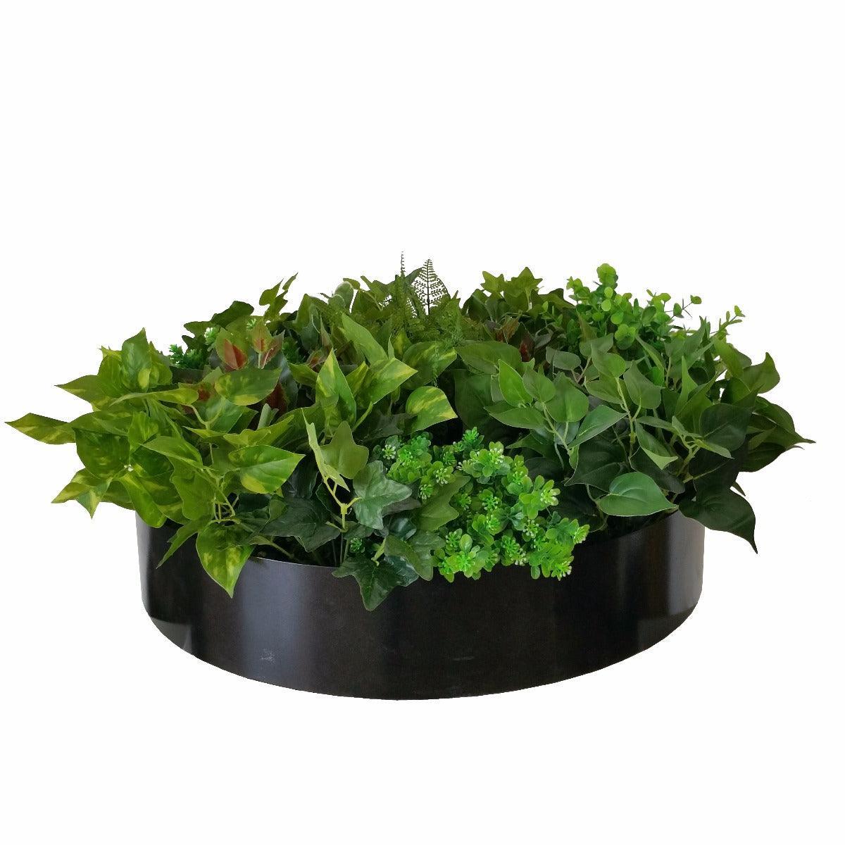 Artificial Green Wall Disk Art 60cm - Mixed Fern & Ivy - John Cootes