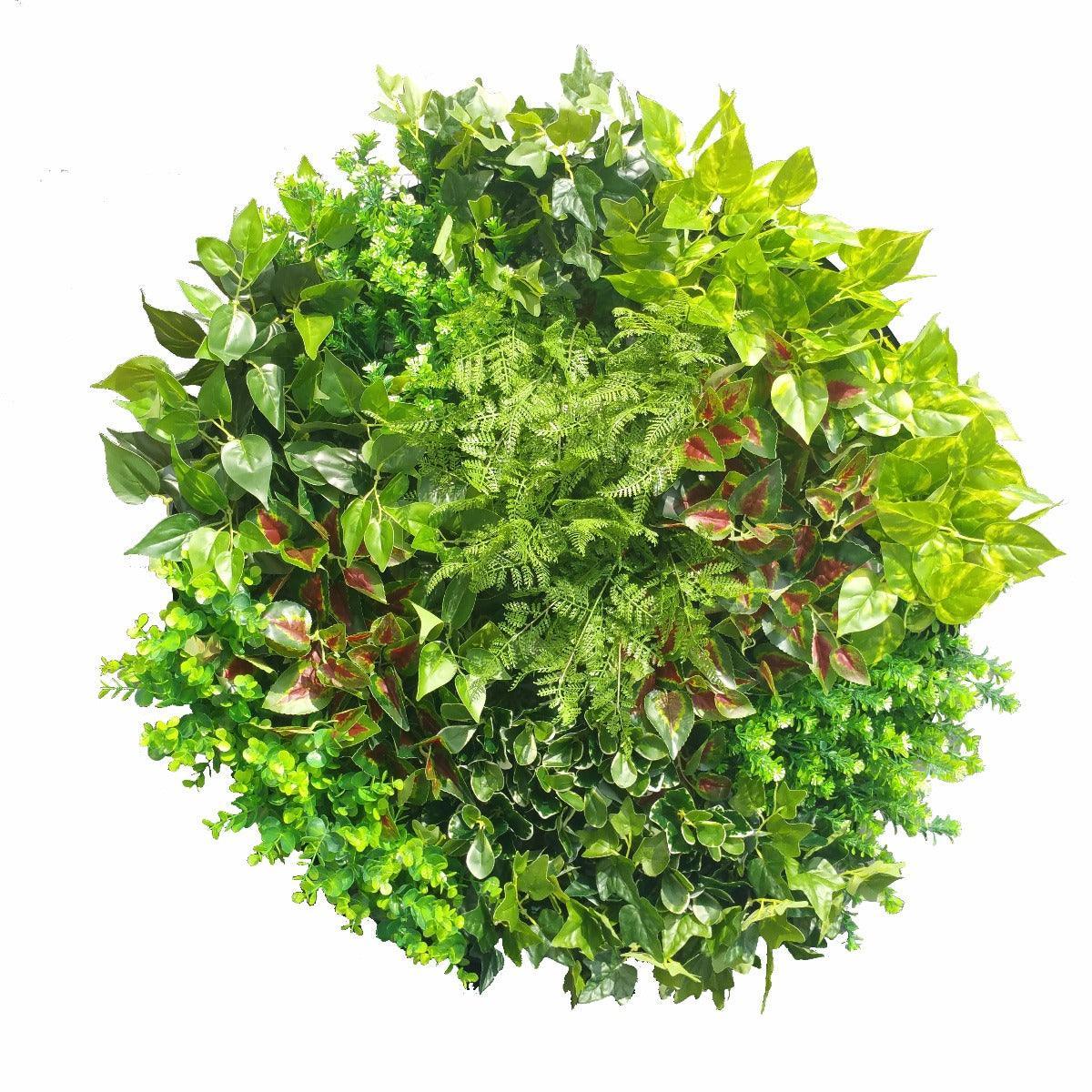 Artificial Green Wall Disk Art 80cm - Mixed Fern - John Cootes