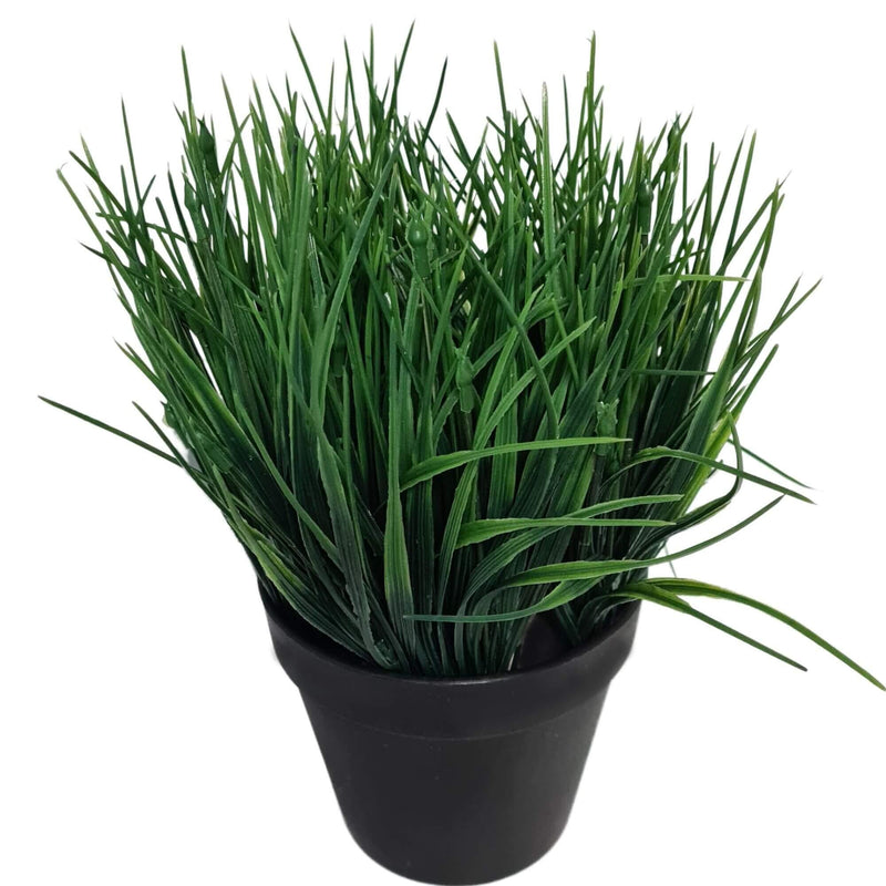 Artificial Ornamental Potted Dense Green Grass UV Resistant 30cm (Overstock Clearance) - John Cootes
