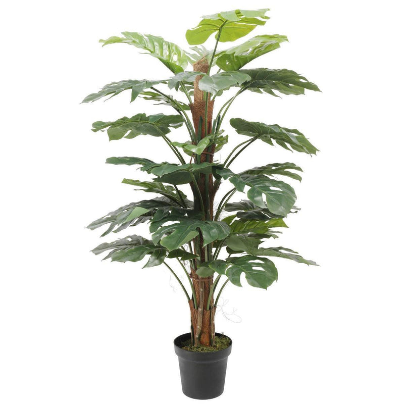 Artificial Philodendron 140cm - John Cootes
