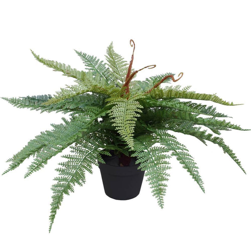 Artificial Potted Fishtail Fern 55cm - John Cootes