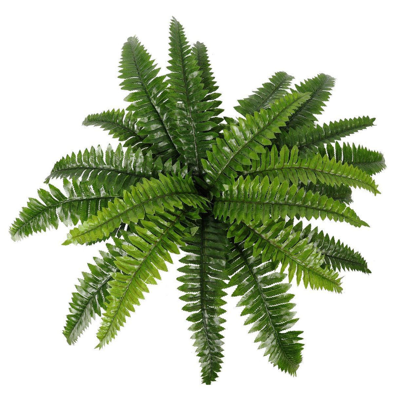 Artificial Potted Natural Green Boston Fern (50cm high 70cm wide) - John Cootes