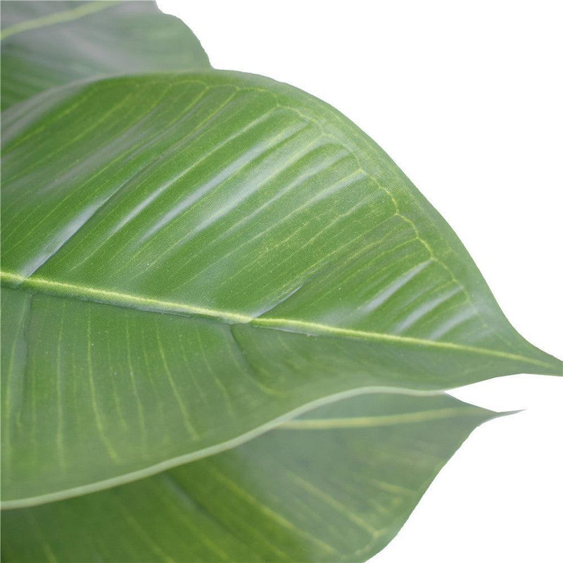 Artificial Potted Rubber Plant 55cm - John Cootes