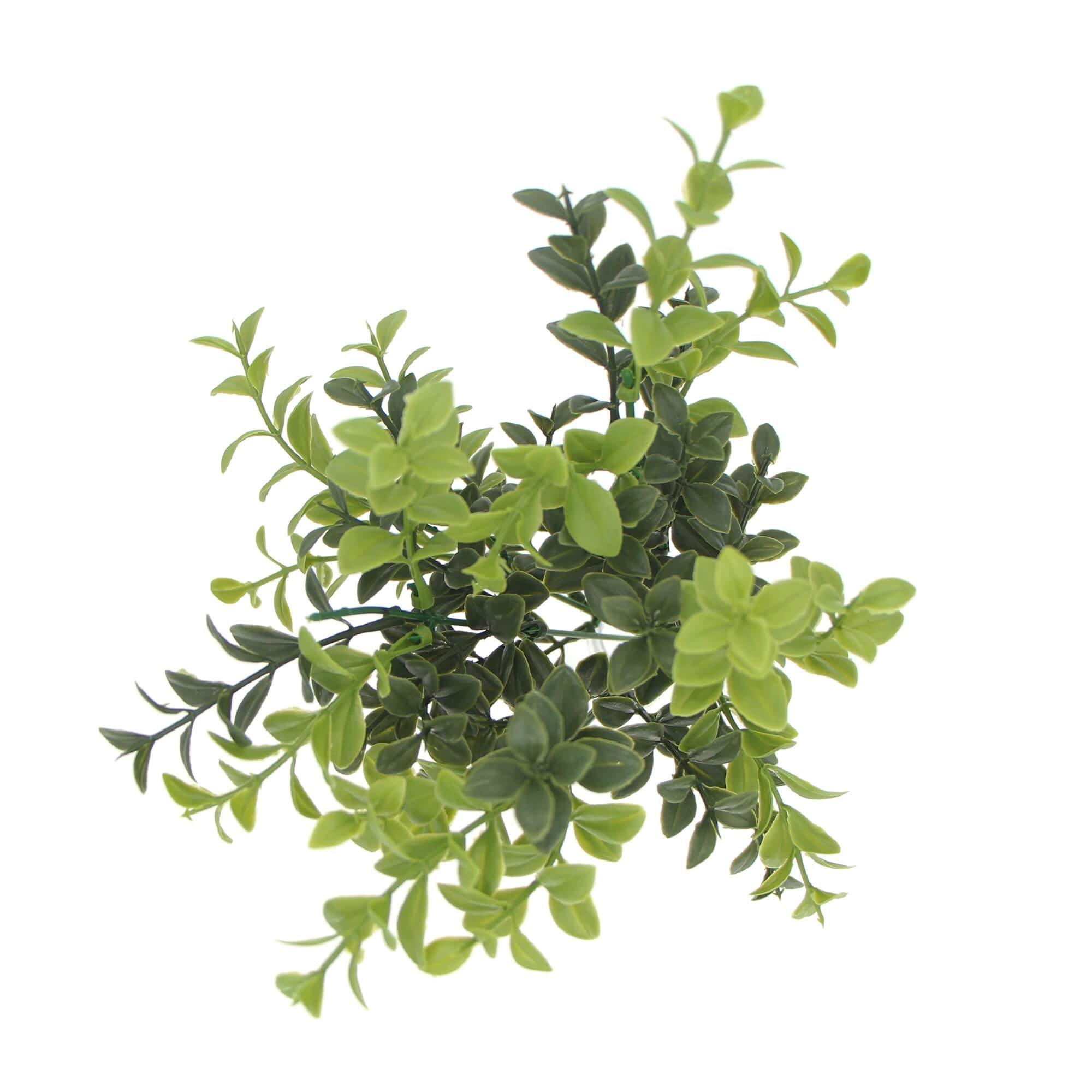 Artificial Rounded Boxwood Stem UV 30cm - John Cootes