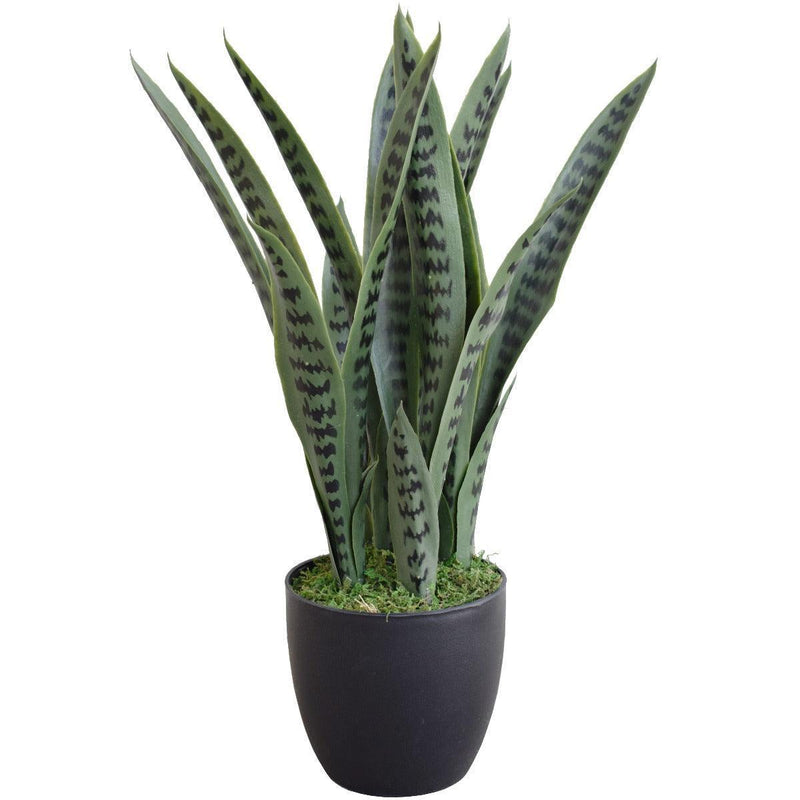 Artificial Snake Plant UV Resistant 60cm - John Cootes