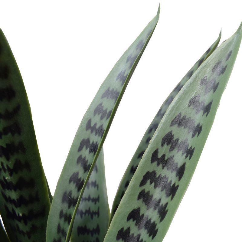 Artificial Snake Plant UV Resistant 60cm - John Cootes