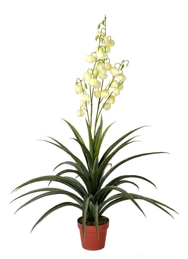 Artificial Yucca Gloriosa 120cm - John Cootes