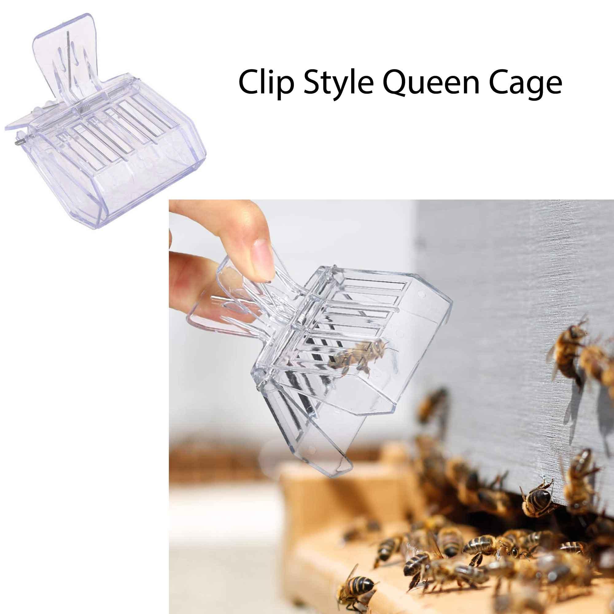 Beekeeping Tools Kit 10 Pcs - Honey Bee Hive Beekeeper Starter Pack - John Cootes