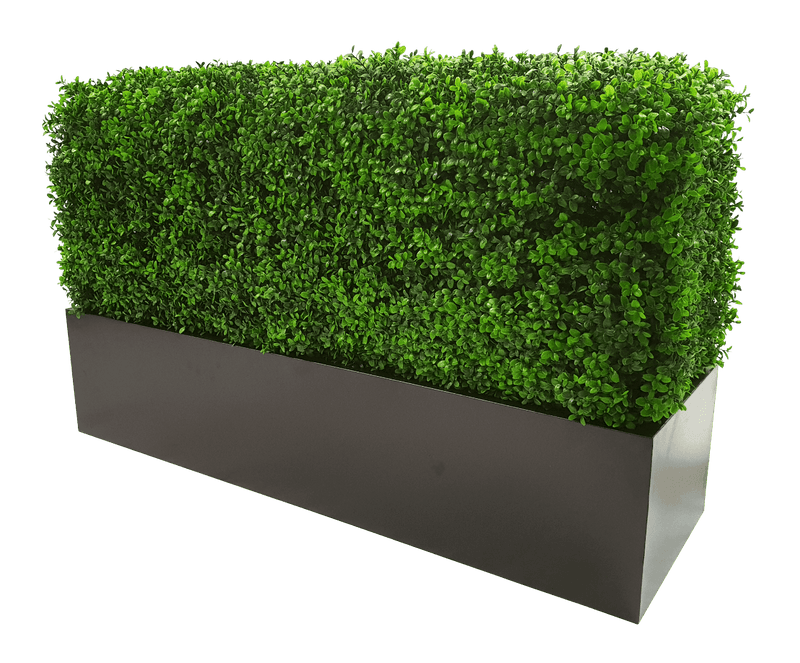 Deluxe Portable Buxus (Bright) UV Resistant 100cm Long x 50cm High x 25cm Wide - John Cootes