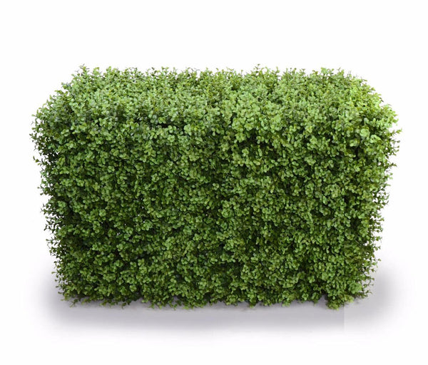 Deluxe Portable Buxus Hedges UV Stabilised 100cm Long X 55cm High - John Cootes