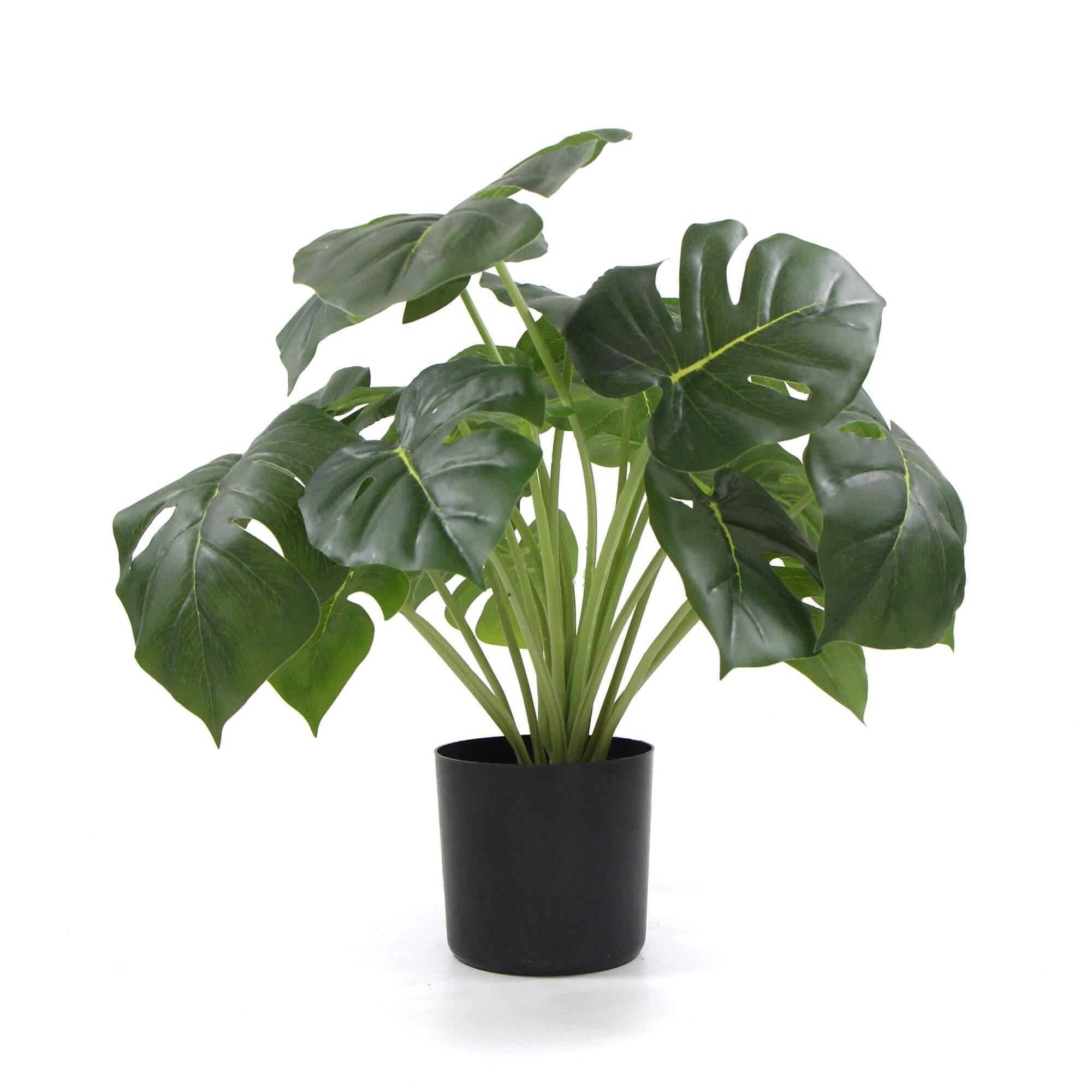 Dense Potted Artificial Split Philodendron Plant With Real Touch Leaves 50cm - John Cootes