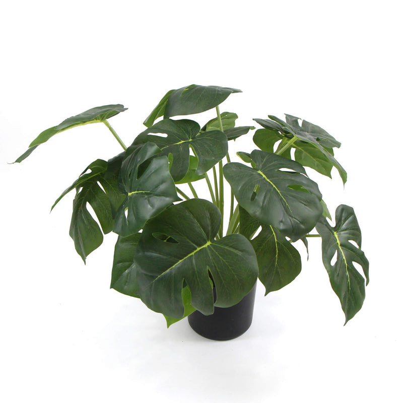 Dense Potted Artificial Split Philodendron Plant With Real Touch Leaves 50cm - John Cootes