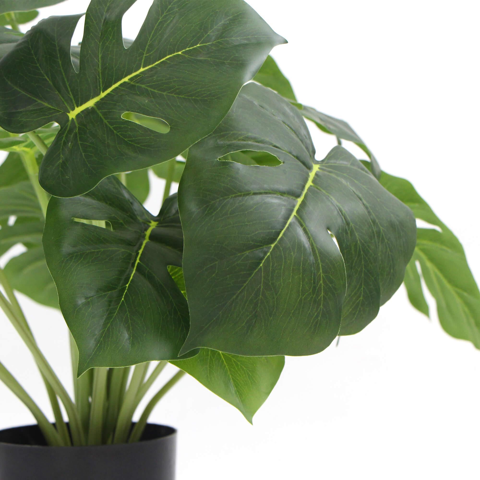 Dense Potted Artificial Split Philodendron Plant With Real Touch Leaves 50cm - John Cootes