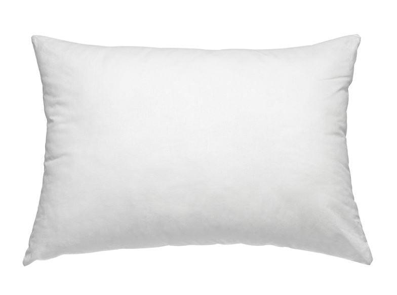 Dreamaker Allergy Sensitive Cotton Cover Pillow 2 Pack - John Cootes