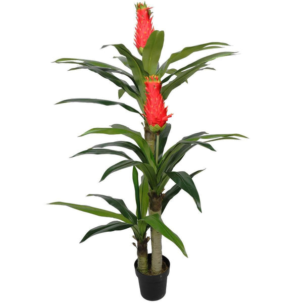 Faux Red Flowering Multi Cane Dracena 167cm - John Cootes