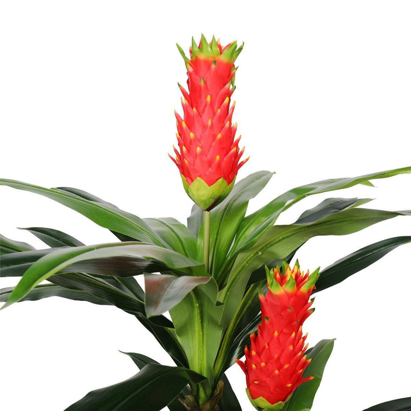 Faux Red Flowering Multi Cane Dracena 167cm - John Cootes