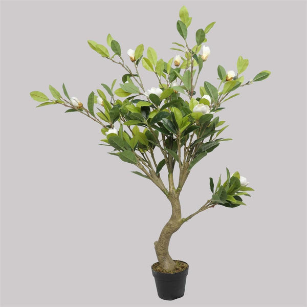 Faux White Flowering Magnolia Tree with Pot 130cm - John Cootes