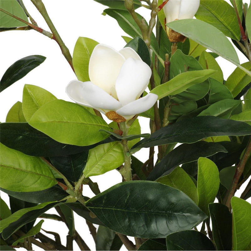 Faux White Flowering Magnolia Tree with Pot 130cm - John Cootes